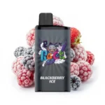 IGET Bar Pro 10000 Puffs Reddit Flavours Price Wholesale - Image 4